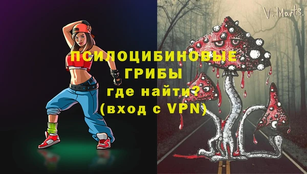 таблы Каменногорск
