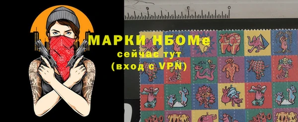 ECSTASY Каменка