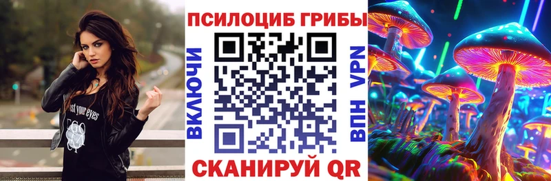 Галлюциногенные грибы Psilocybe  гидра зеркало  Нефтекамск 