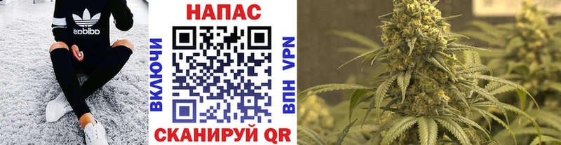 Марихуана сатива Нефтекамск